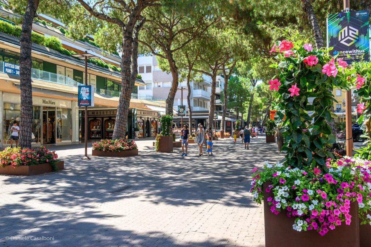 riccione vacanze