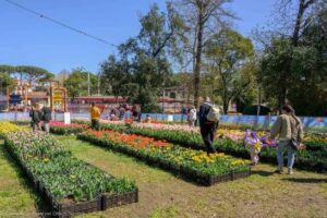 week end Riccione ed in Romagna:mercatini ed eventi in primavera